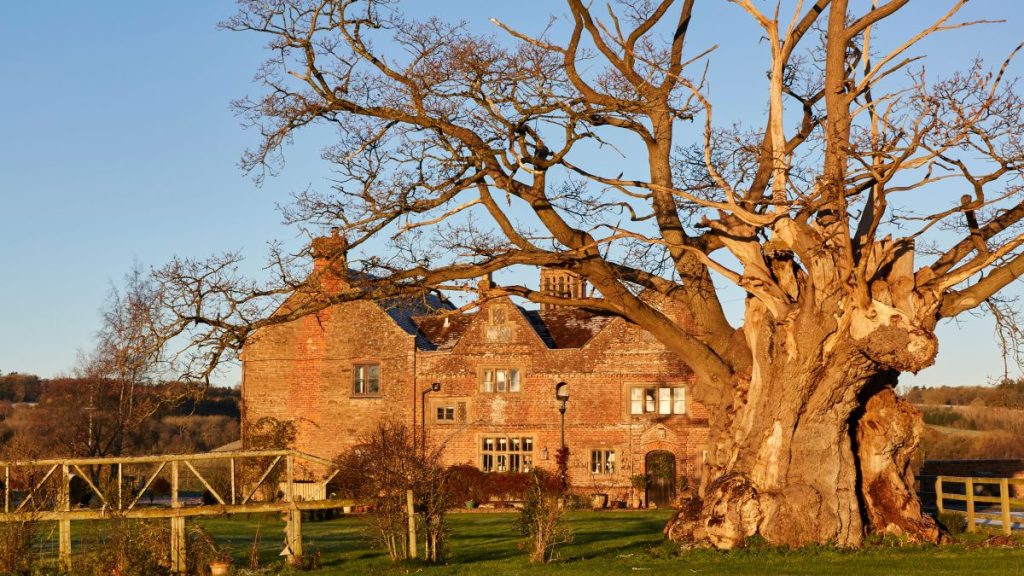 A beautiful historic home decorated for Christmas |